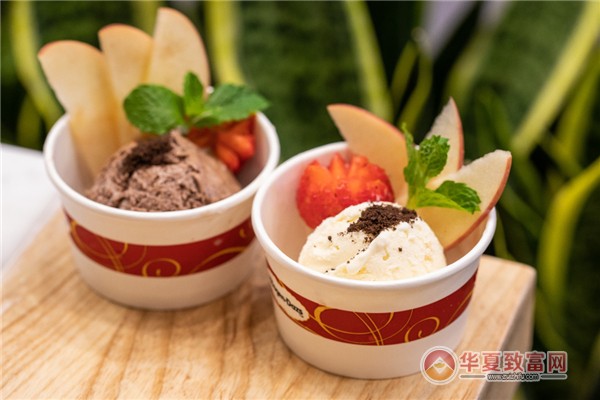 哈根达斯加盟